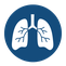 Pulmonary Function Laboratory